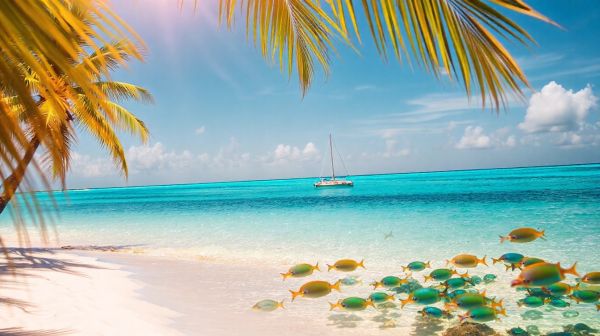 Découvrez les joyaux cachés du tourisme en république dominicaine