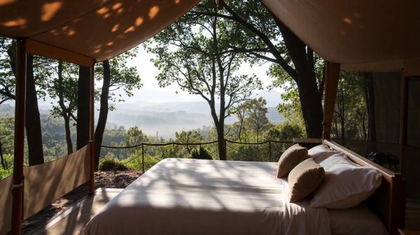 Découvrez l'essentiel du glamping : expériences privilégiées en plein air